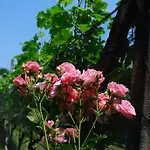 Continental Parkhotel Готель