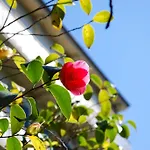 Готель Continental Parkhotel 3*