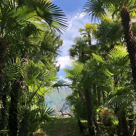 Continental Parkhotel Лугано