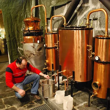 Continental Parkhotel 3*