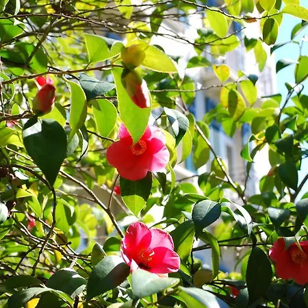 Hotel Continental Parkhotel Lugano