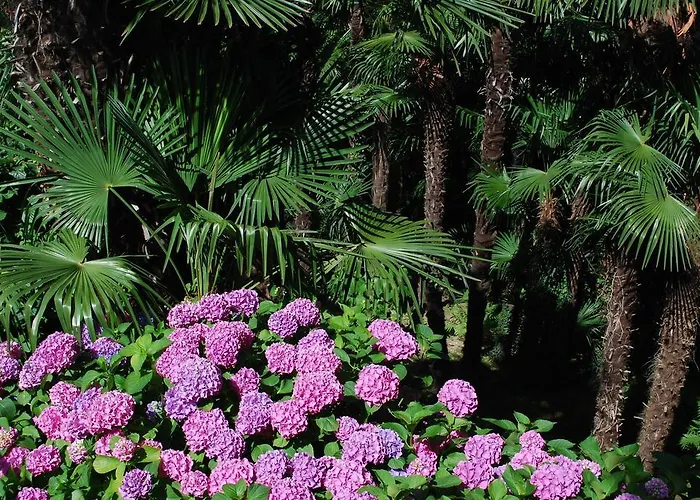 Continental Parkhotel Lugano