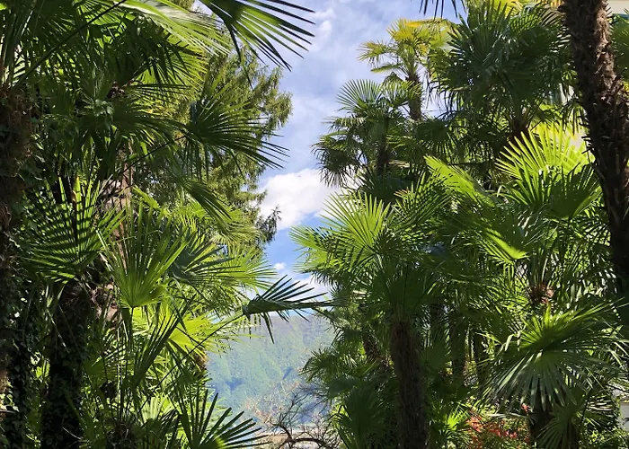 Continental Parkhotel Lugano