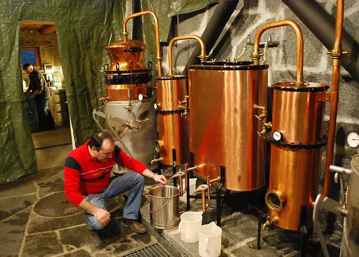 Continental Parkhotel 3*