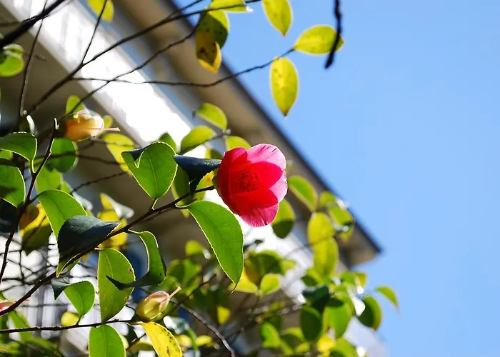 Hotel Continental Parkhotel 3*