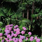 Continental Parkhotel Lugano