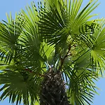 Otel Continental Parkhotel Lugano