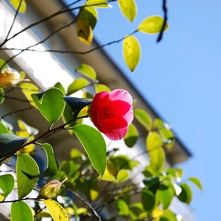 Hotel Continental Parkhotel 3*